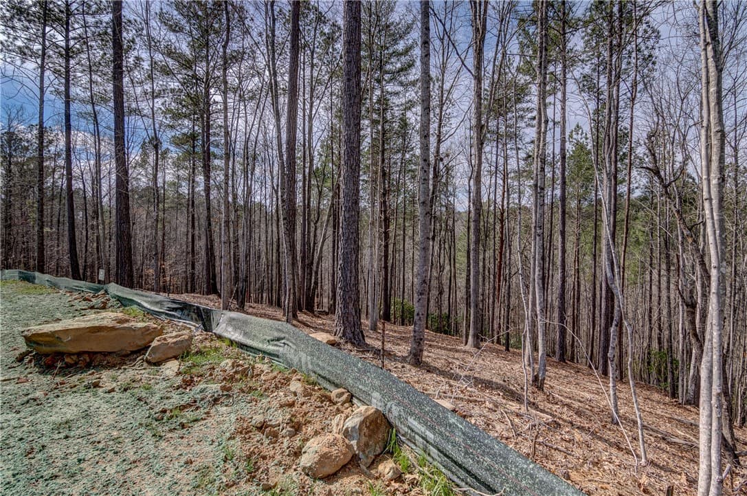 Property image 5 at Lot 3 Grays Peak Drive, Salem, SC 29676