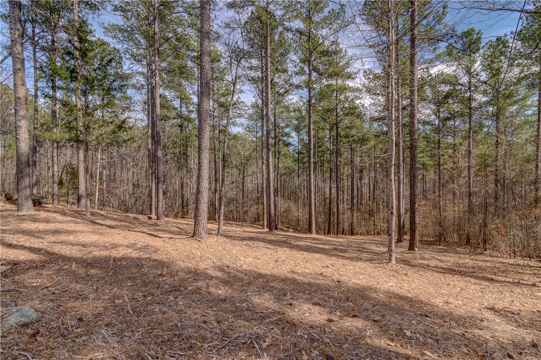 Lot 20 Grays Peak Drive