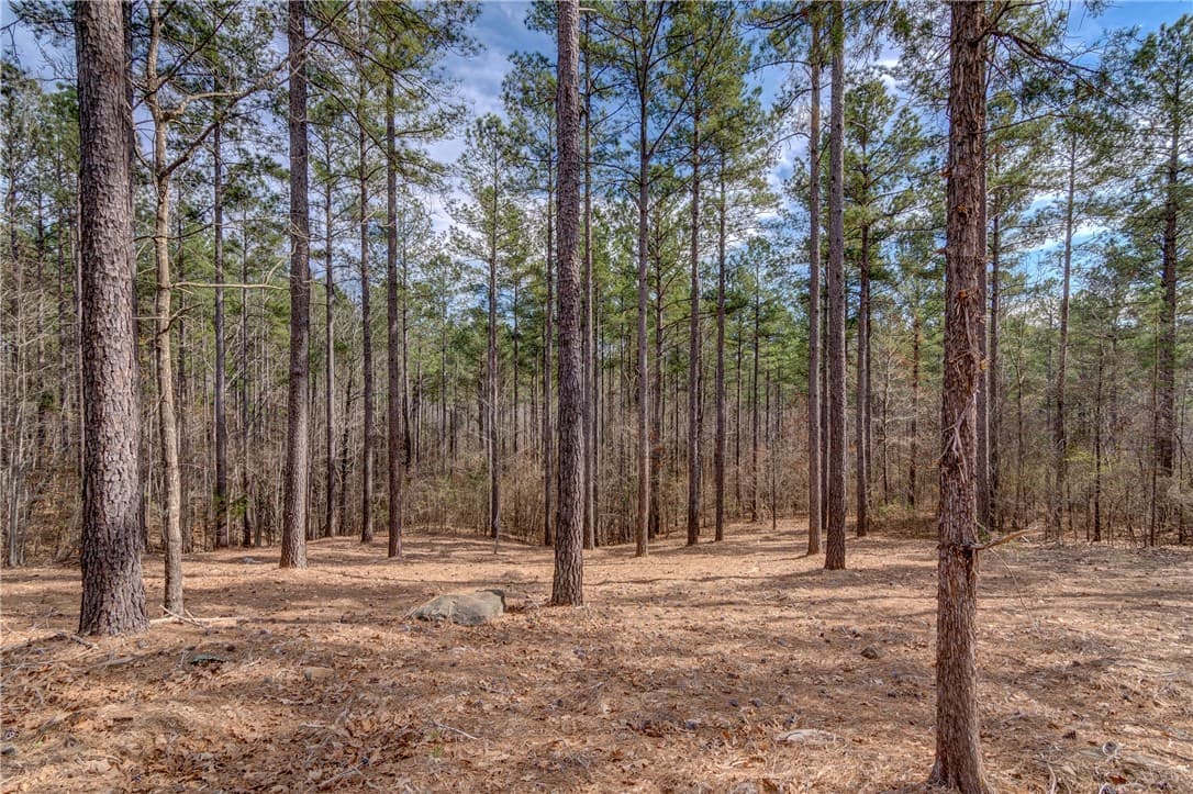 Property image 2 at Lot 20 Grays Peak Drive, Salem, SC 29676