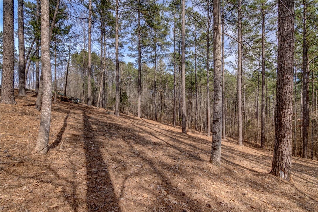Property image 3 at Lot 20 Grays Peak Drive, Salem, SC 29676