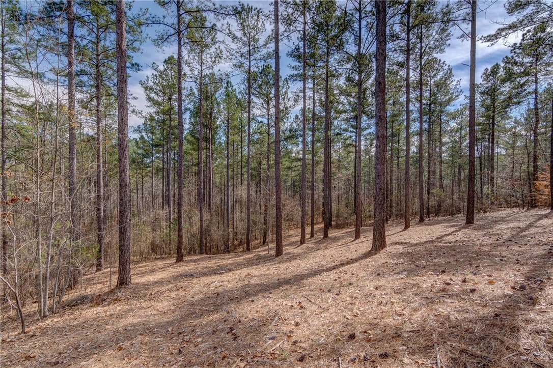 Property image 4 at Lot 20 Grays Peak Drive, Salem, SC 29676
