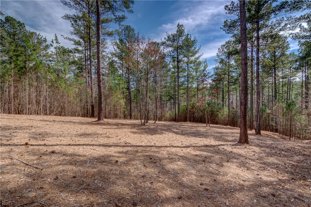 Property image 2 at Lot 21 Grays Peak Drive, Salem, SC 29676