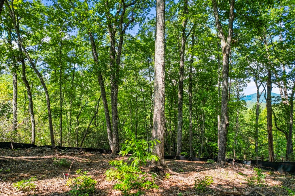 Property image 3 at 110 Cliffside Trail, Pickens, SC 29671