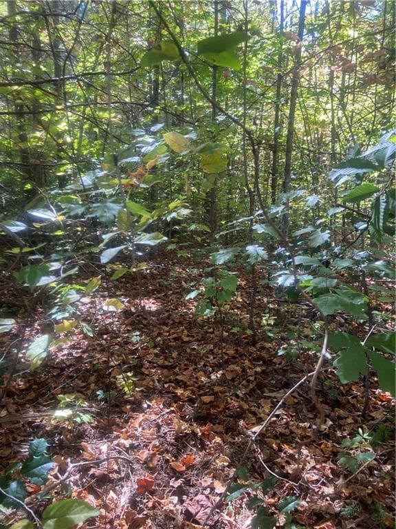 Property image 3 at 609 Crossland Creek Court, Tamassee, SC 29686