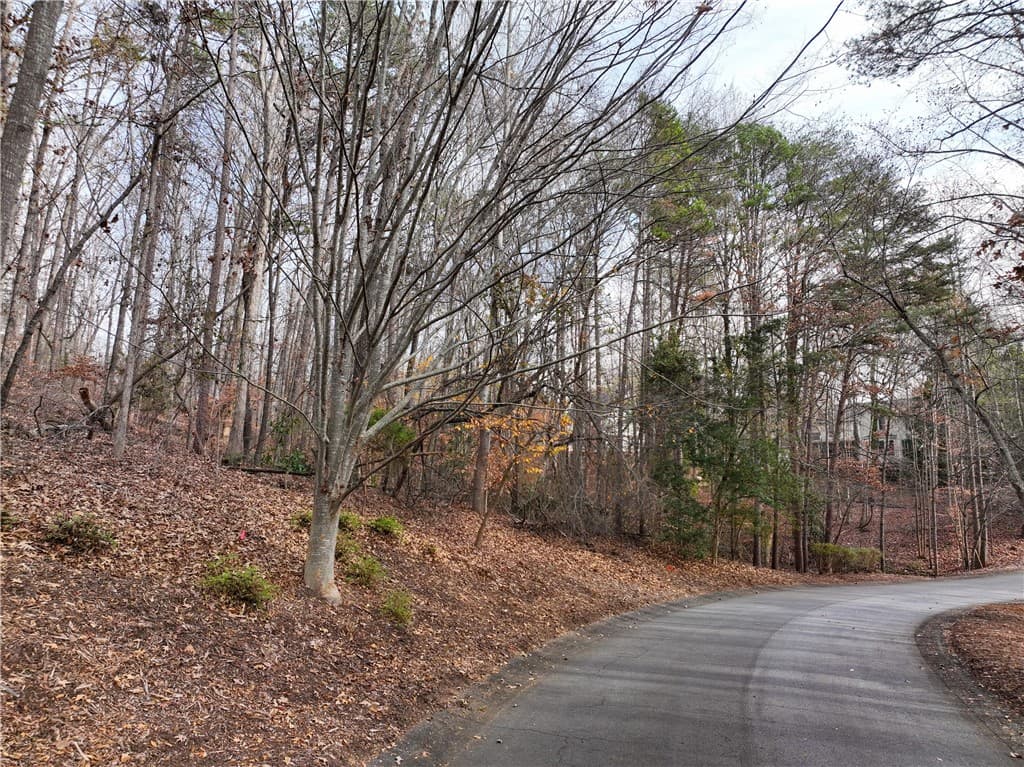 Lot 1 Santee Trail