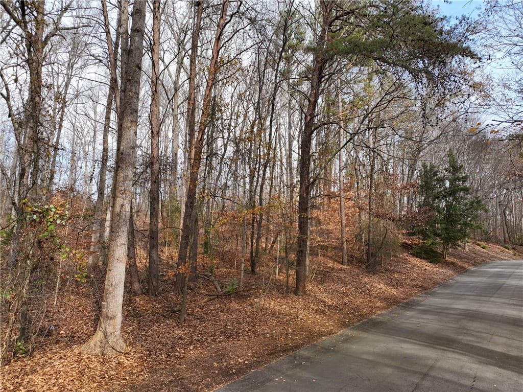 Calhoun Forest