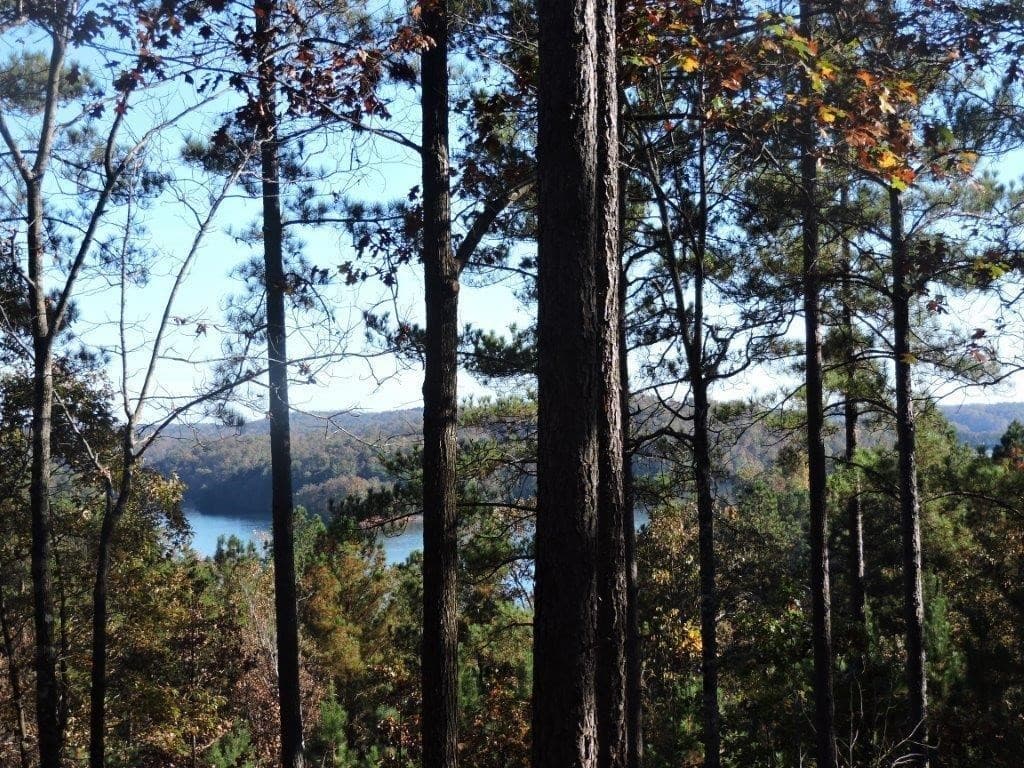 333 Long Cove Trail
