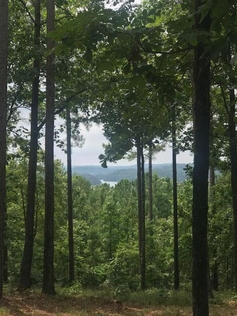 Property image 3 at 333 Long Cove Trail, Salem, SC 29676
