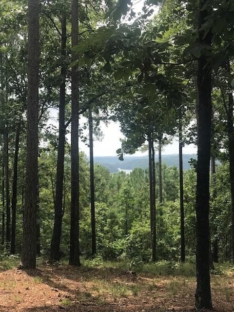 Property image 4 at 333 Long Cove Trail, Salem, SC 29676