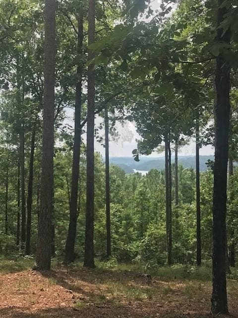 Property image 5 at 333 Long Cove Trail, Salem, SC 29676