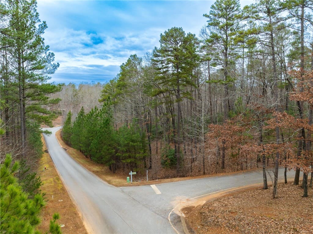 Property image 2 at Lot 56 Blue Water Trail, Salem, SC 29676
