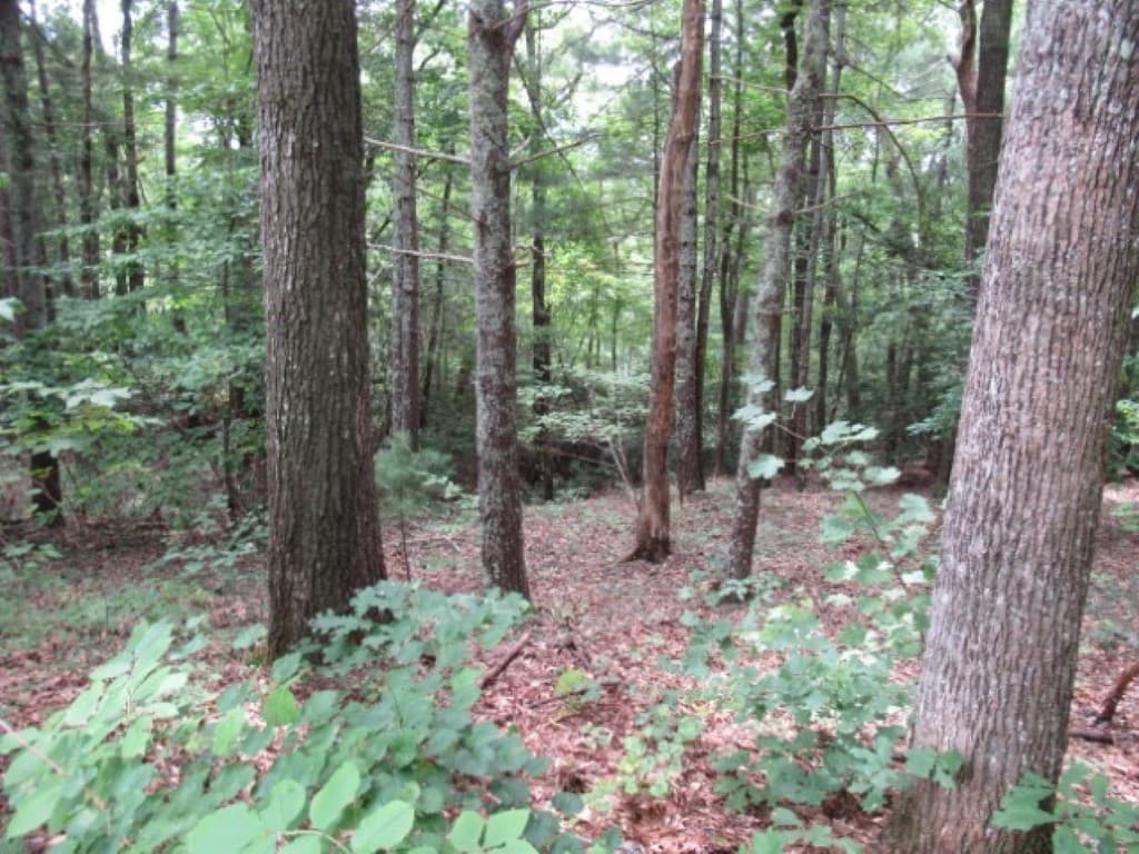 Property image 2 at 425 Whispering Falls Drive, Pickens, SC 29671