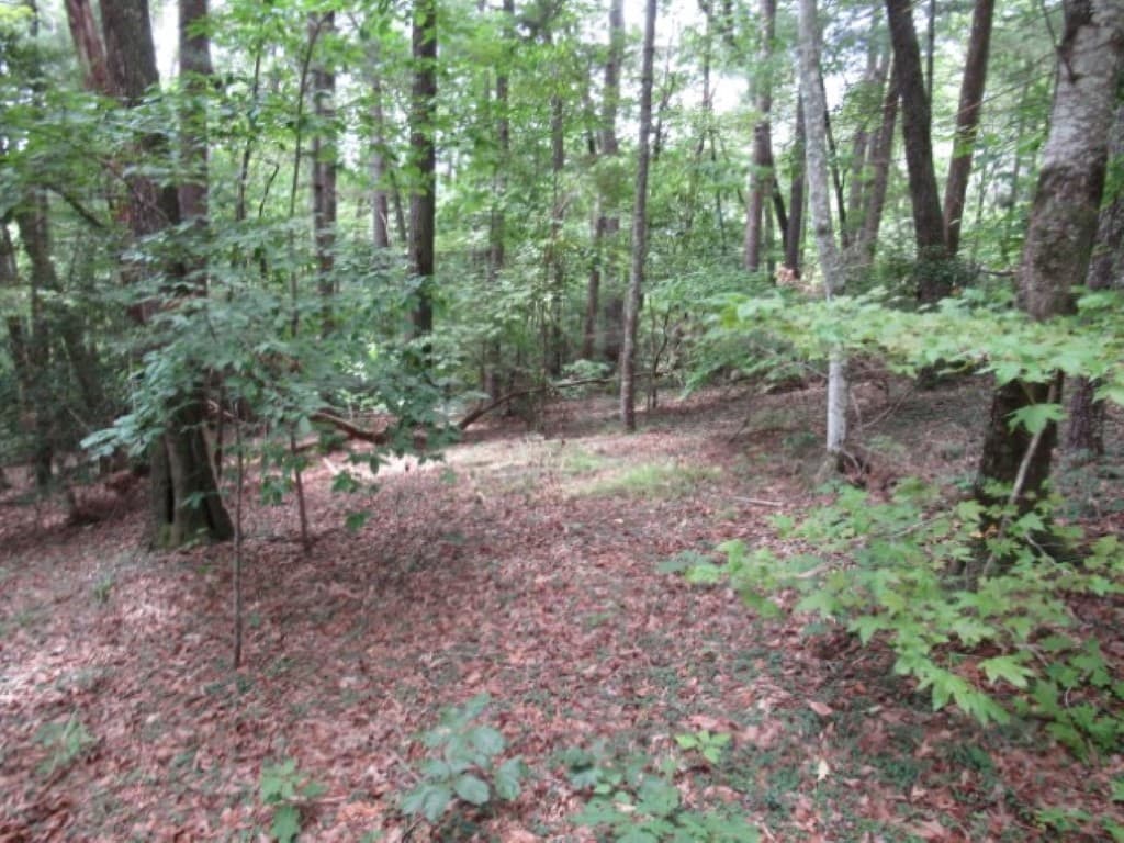 Property image 3 at 425 Whispering Falls Drive, Pickens, SC 29671