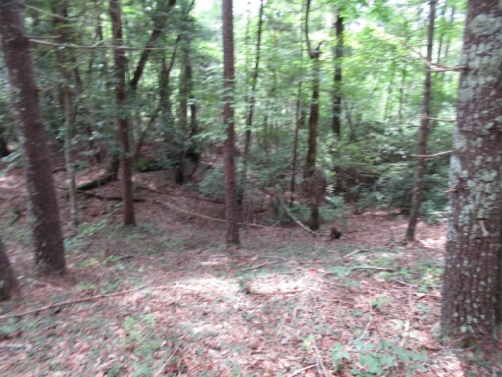 Property image 4 at 425 Whispering Falls Drive, Pickens, SC 29671