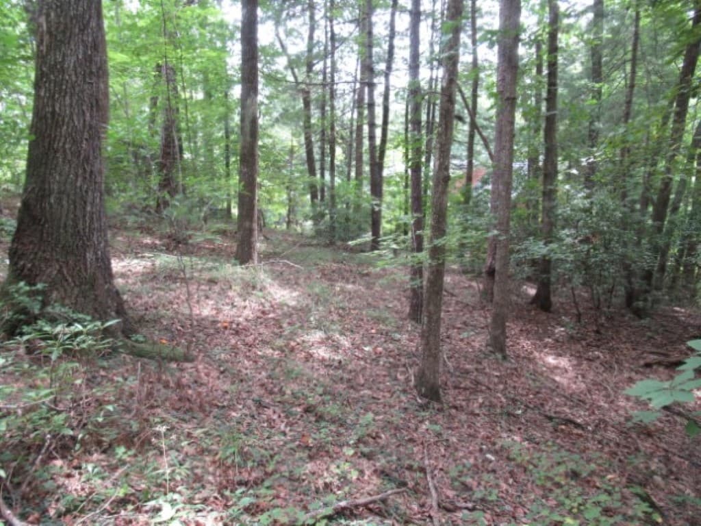 Property image 5 at 425 Whispering Falls Drive, Pickens, SC 29671