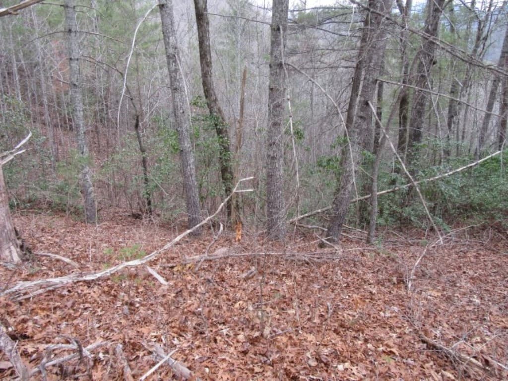 Property image 3 at 430 Whispering Falls Drive, Pickens, SC 29671