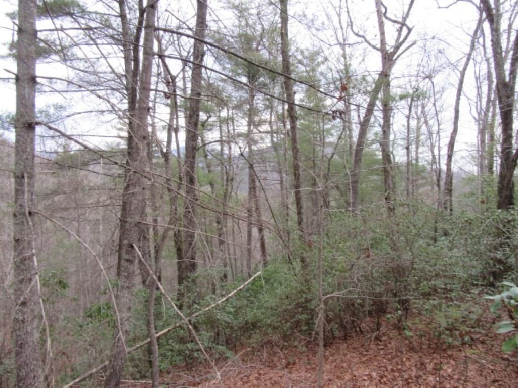 Property image 4 at 430 Whispering Falls Drive, Pickens, SC 29671