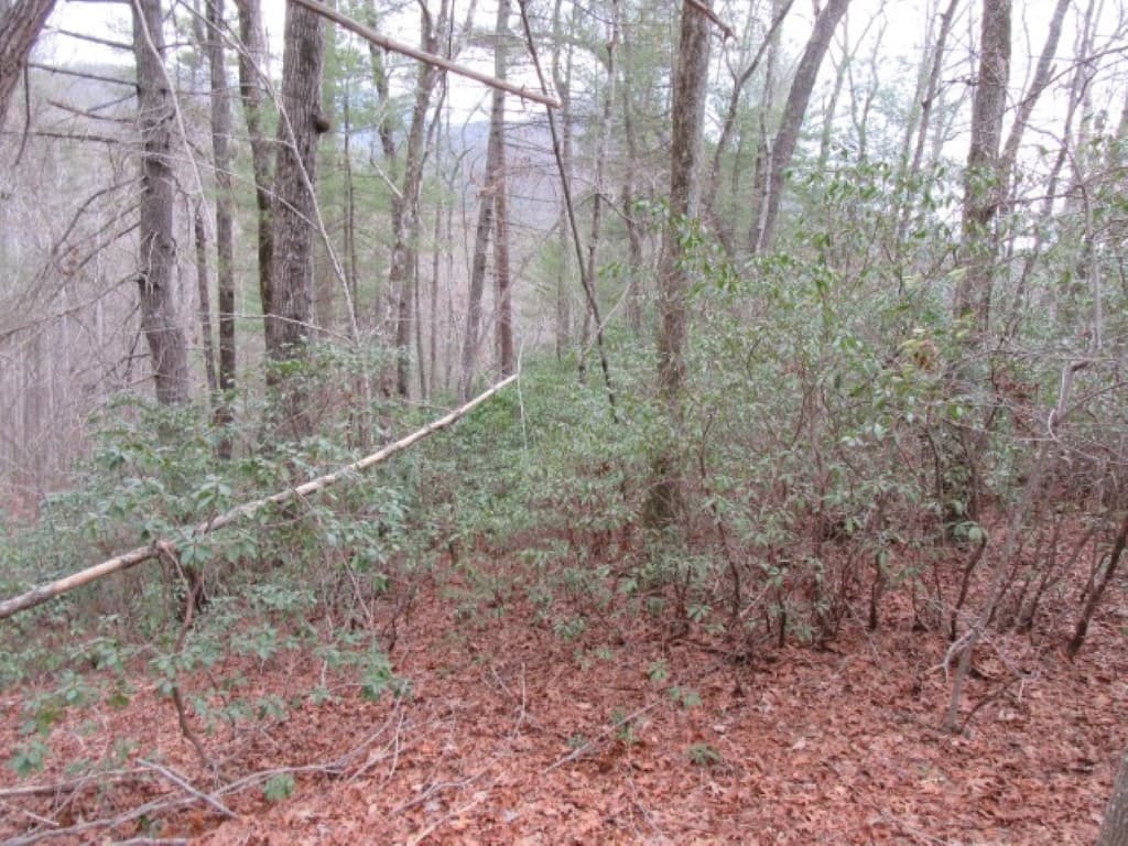 Property image 5 at 430 Whispering Falls Drive, Pickens, SC 29671