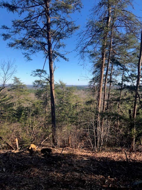 Property image 2 at S52 Stone Terrace Way, Salem, SC 29676