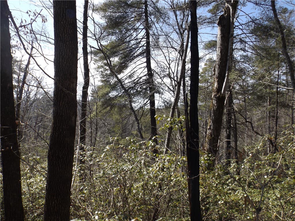 Property image 3 at 130 Fairway Woods, Pickens, SC 29671
