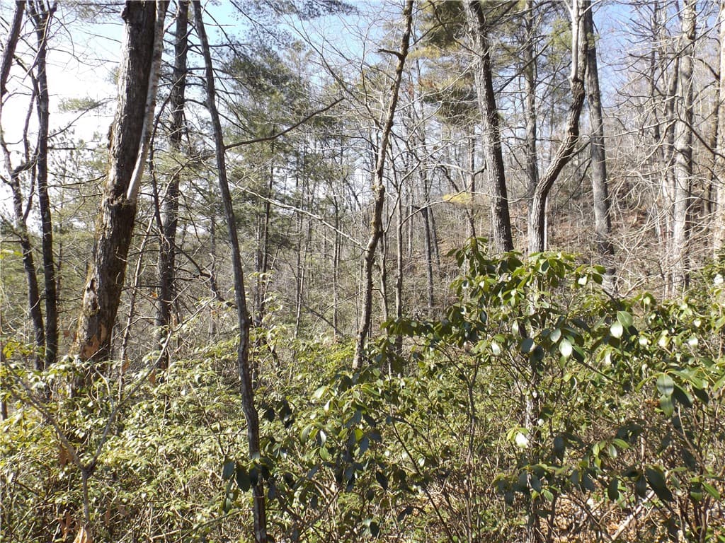 Property image 4 at 130 Fairway Woods, Pickens, SC 29671