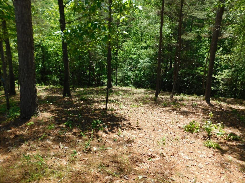 Lot 12 Canebrake Drive