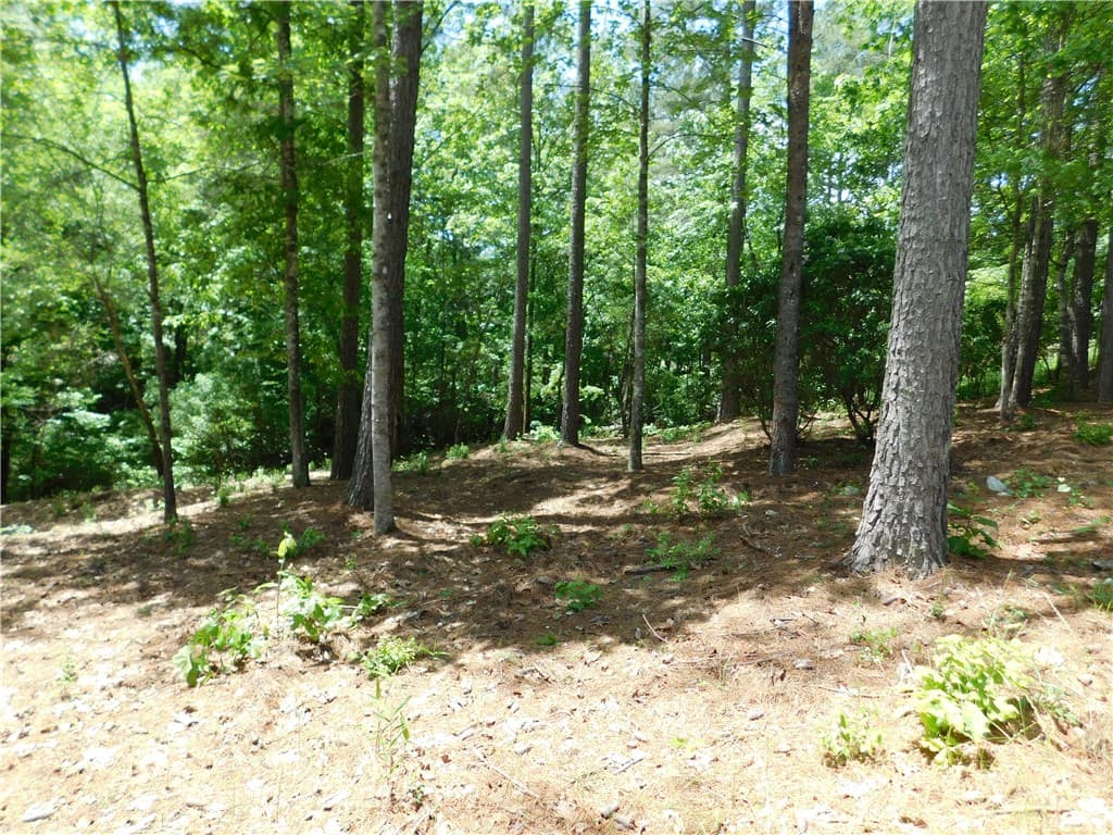 Property image 2 at Lot 12 Canebrake Drive, Salem, SC 29676