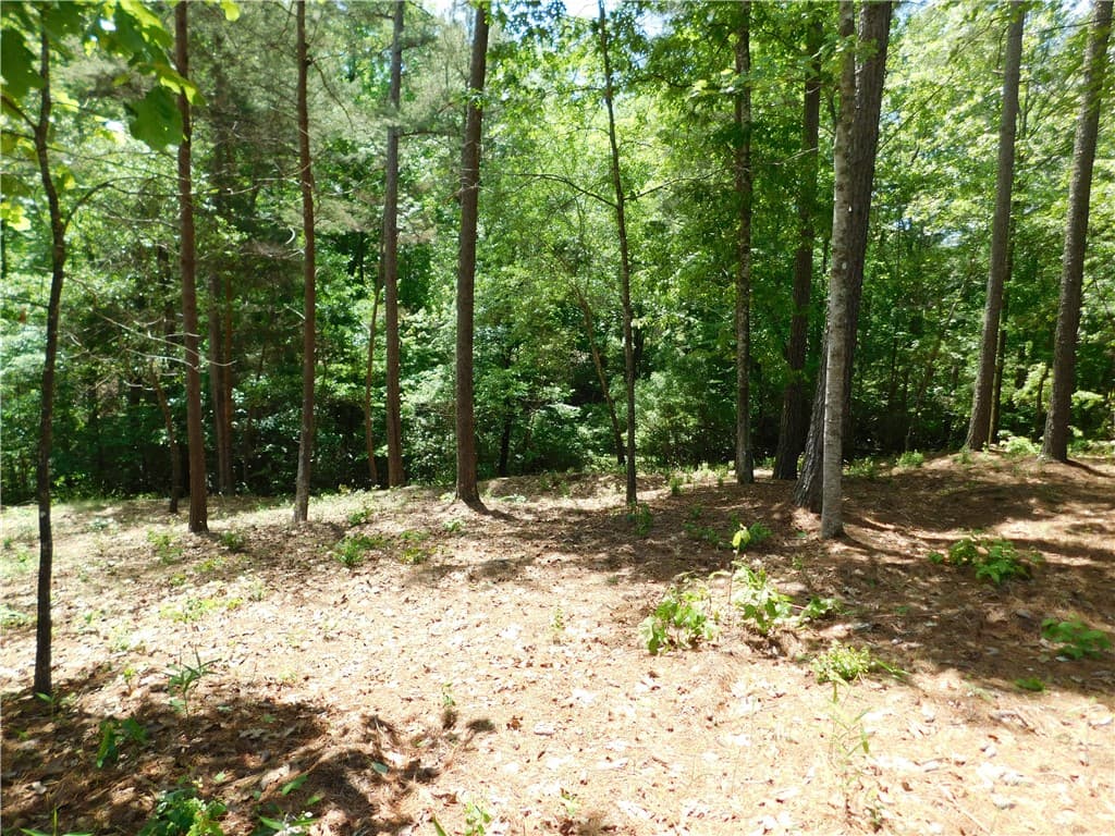Property image 3 at Lot 12 Canebrake Drive, Salem, SC 29676