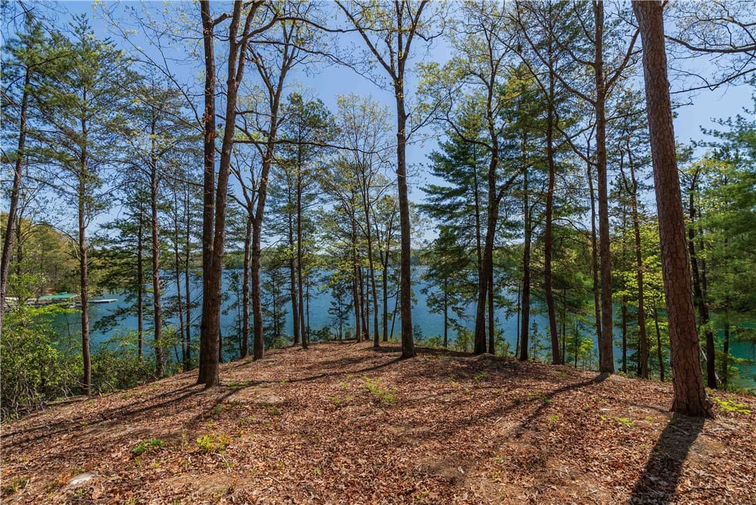 Property image 2 at Lot 9 Diamondback Drive, Salem, SC 29676