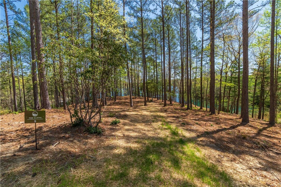 Property image 5 at Lot 9 Diamondback Drive, Salem, SC 29676