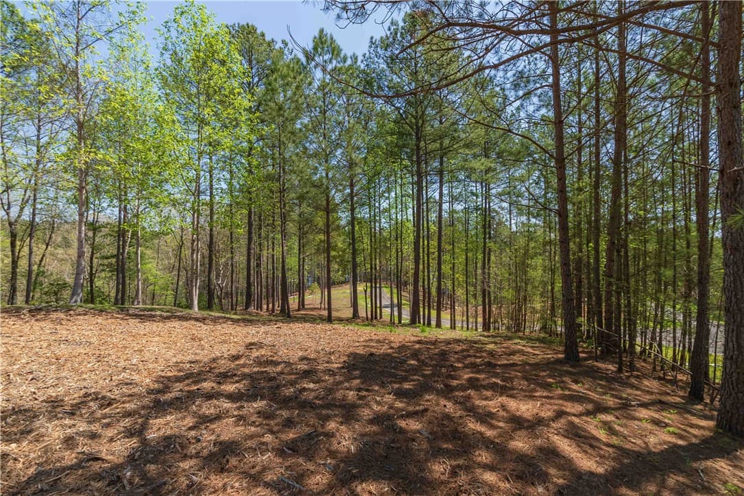 Property image 3 at Lot 6 Canebrake Drive, Salem, SC 29676