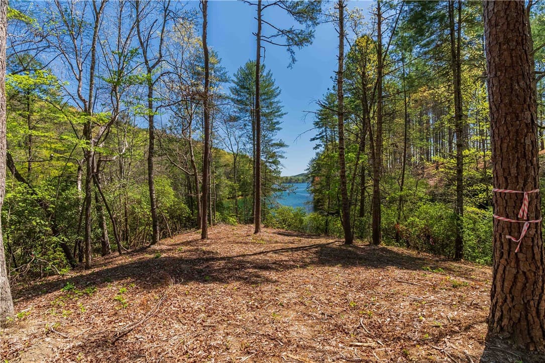 Property image 2 at Lot 5 Canebrake Drive, Salem, SC 29676