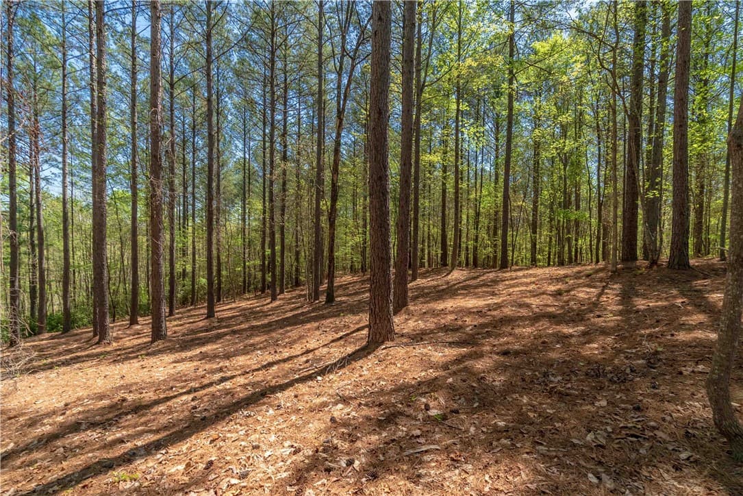 Property image 2 at Lot 1 Canebrake Drive, Salem, SC 29676