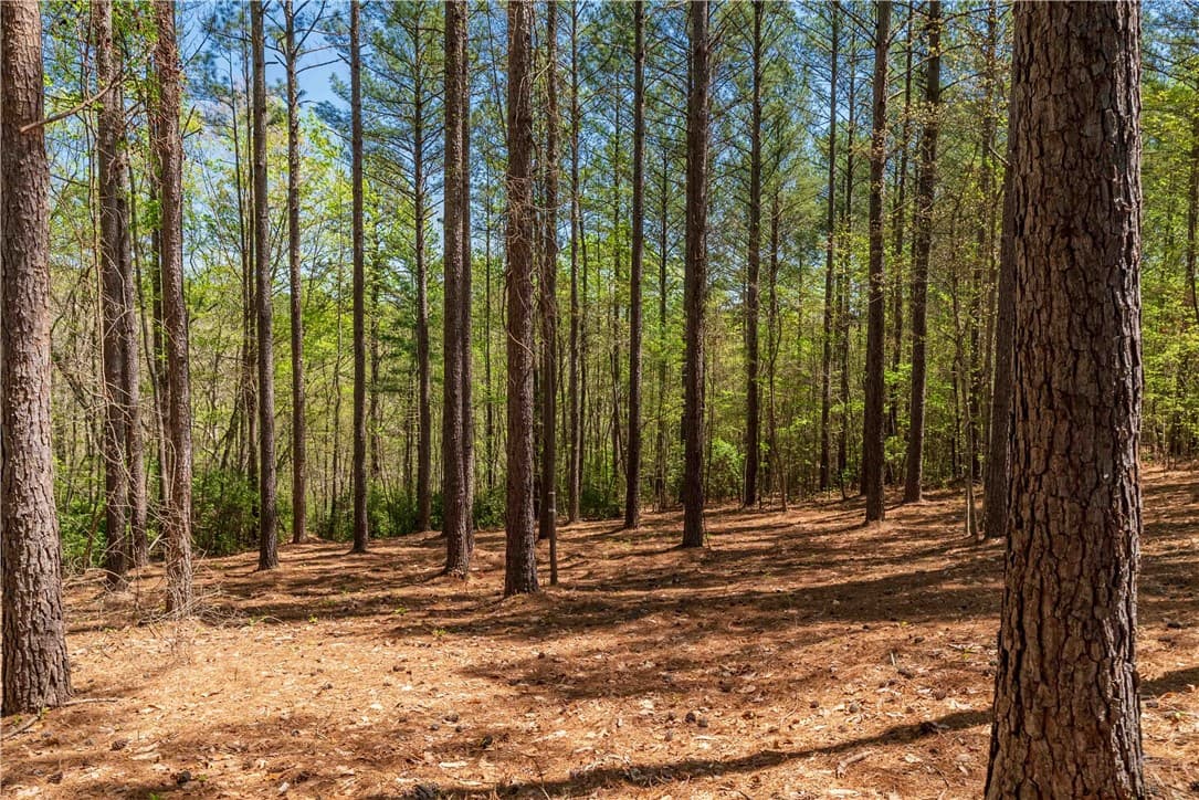 Property image 3 at Lot 1 Canebrake Drive, Salem, SC 29676