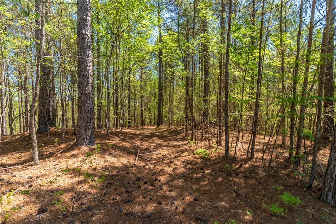 Property image 2 at Lot 2 Canebrake Drive, Salem, SC 29676