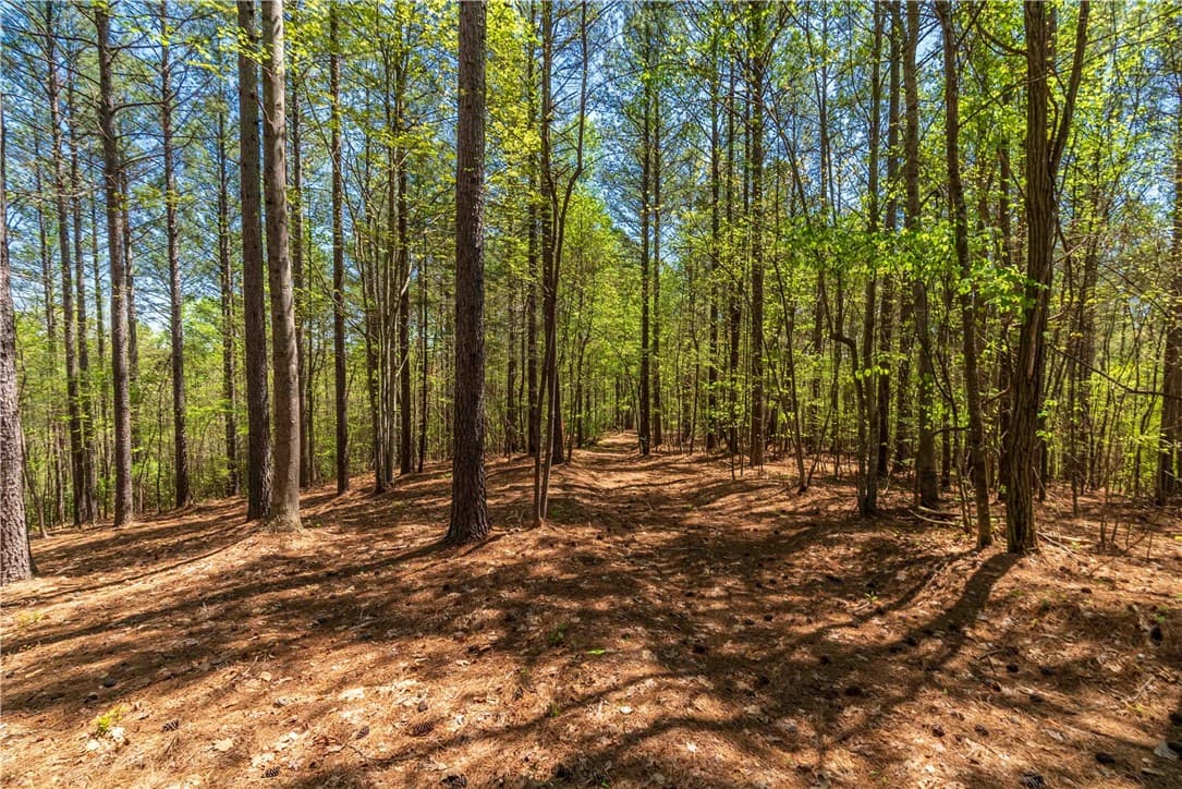 Property image 3 at Lot 2 Canebrake Drive, Salem, SC 29676