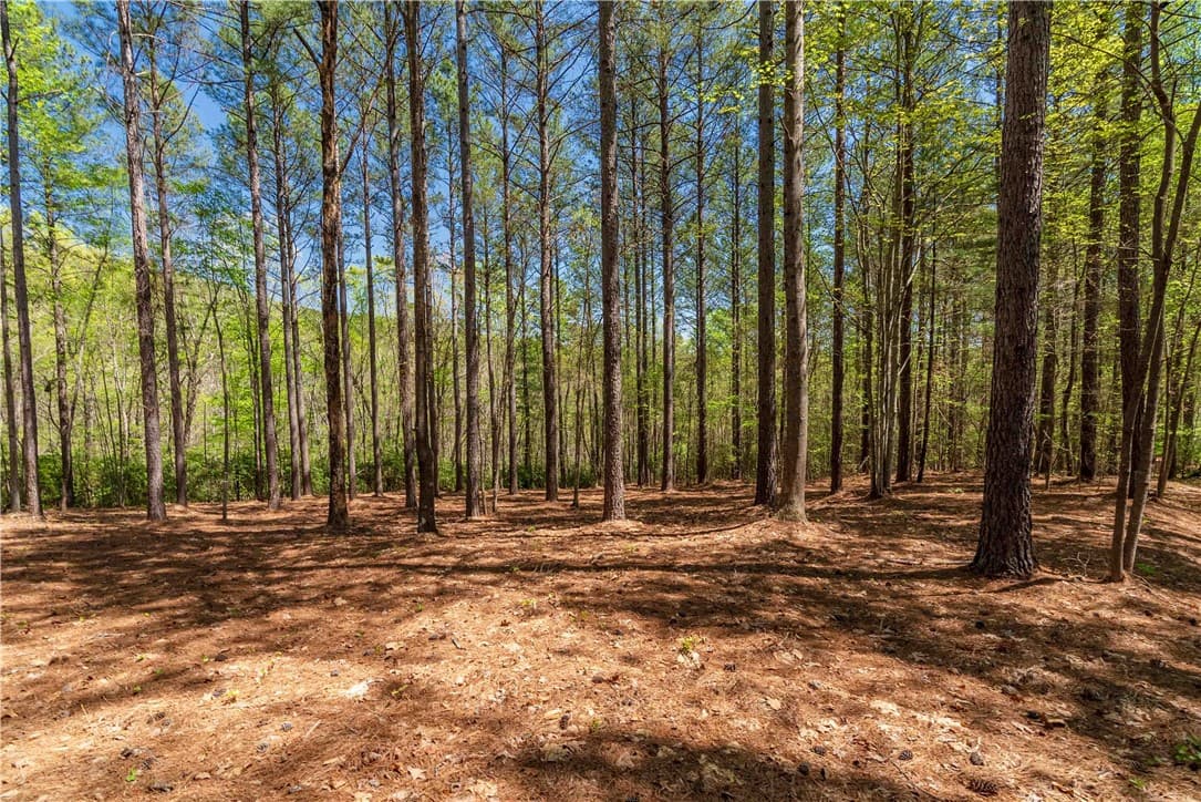Property image 4 at Lot 2 Canebrake Drive, Salem, SC 29676