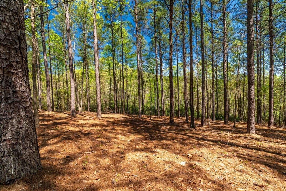 Property image 5 at Lot 2 Canebrake Drive, Salem, SC 29676