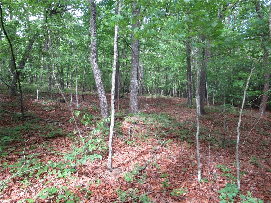 Property image 1 at 00 Raven Court, Cleveland, SC 29635