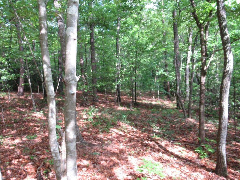 Property image 2 at 00 Raven Court, Cleveland, SC 29635