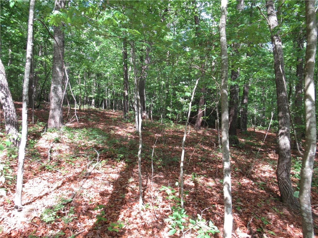 Property image 3 at 00 Raven Court, Cleveland, SC 29635