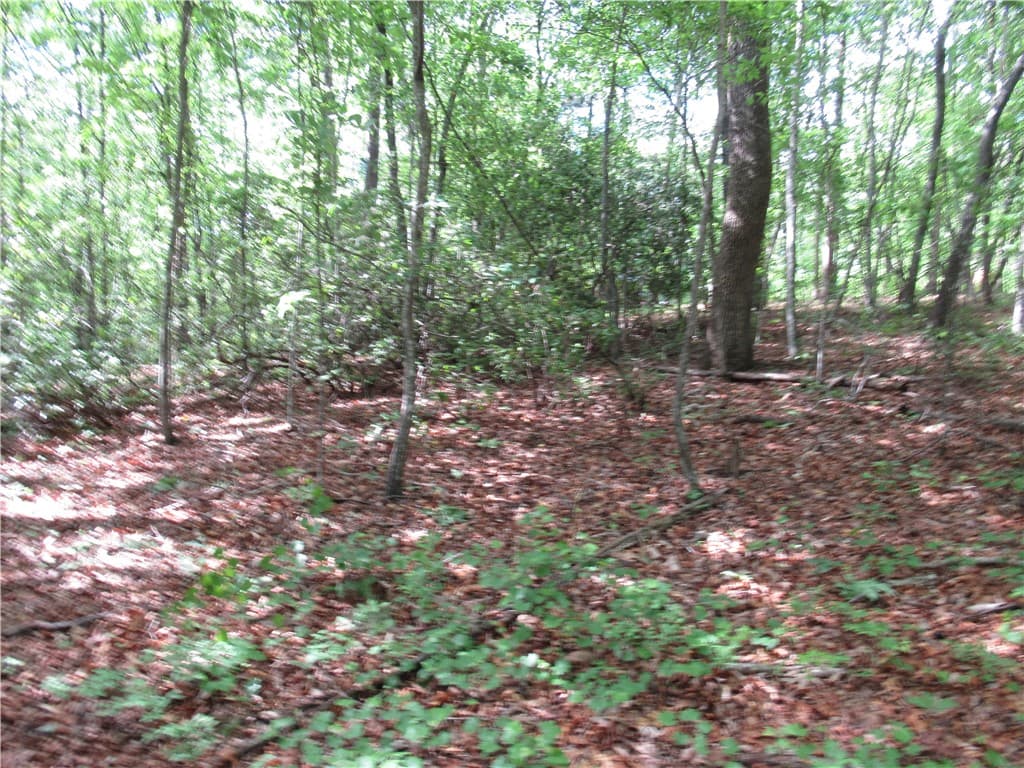 Property image 4 at 00 Raven Court, Cleveland, SC 29635