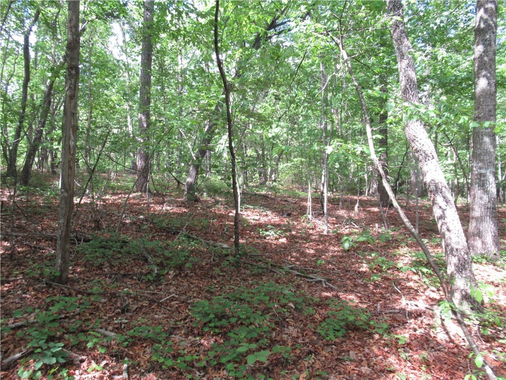 Property image 5 at 00 Raven Court, Cleveland, SC 29635