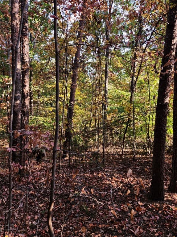 Property image 4 at 00 Four Views Court, Seneca, SC 29678