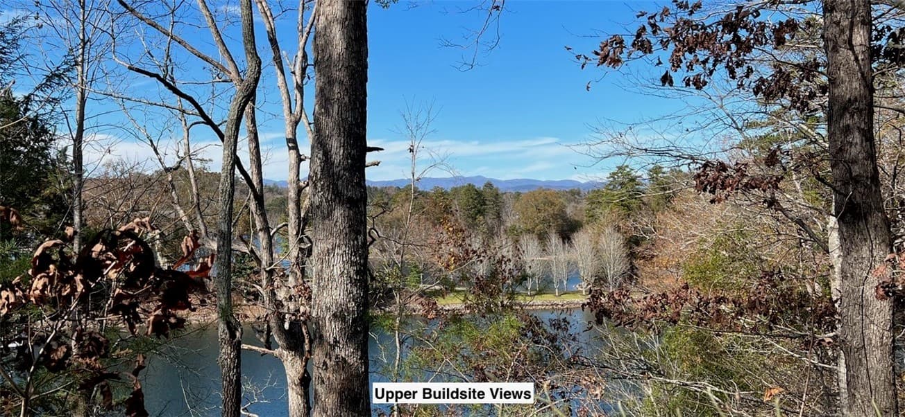 Property image 2 at 116 Yellowbear Way, Sunset, SC 29685
