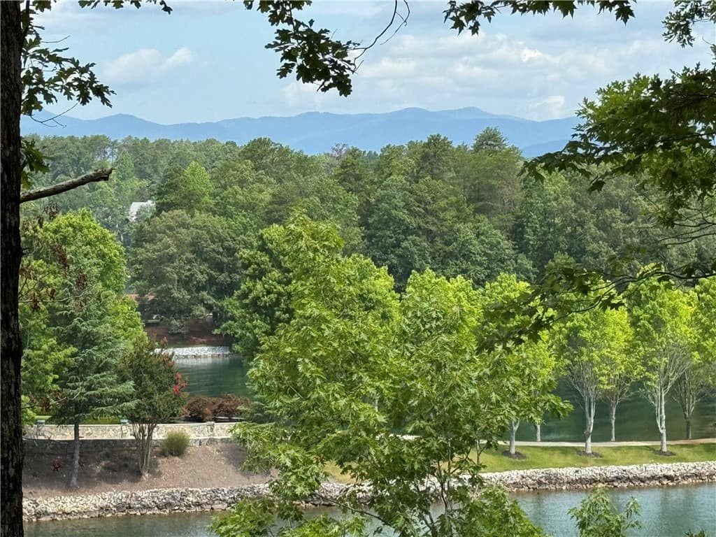 Property image 4 at 116 Yellowbear Way, Sunset, SC 29685