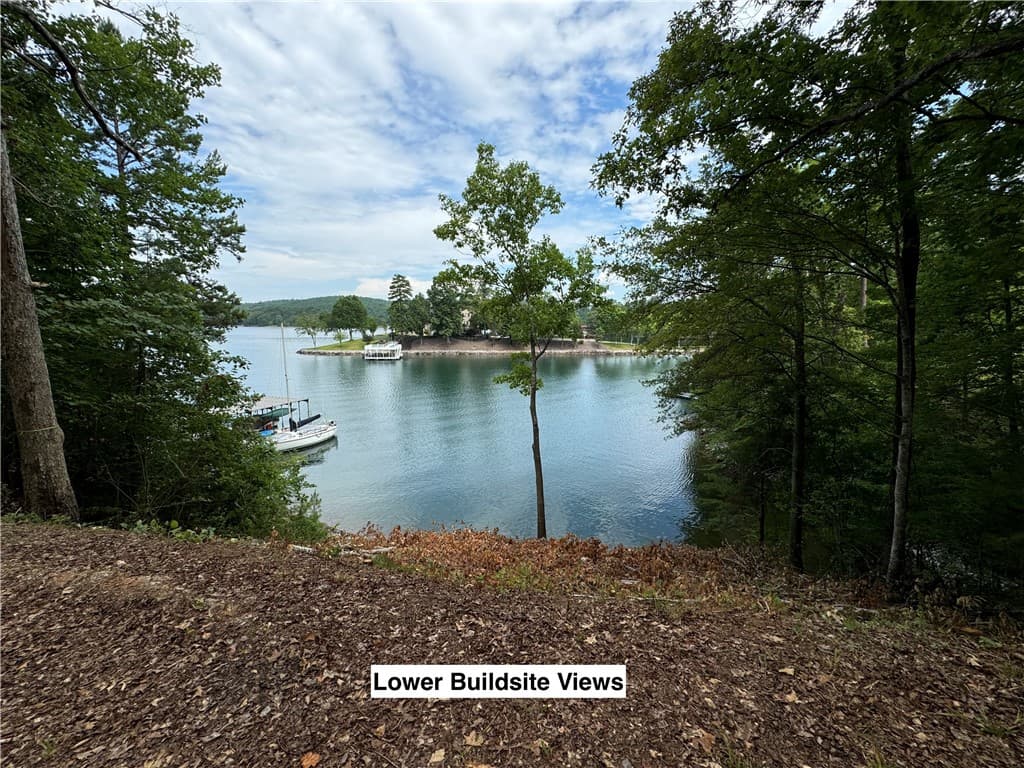 Property image 5 at 116 Yellowbear Way, Sunset, SC 29685