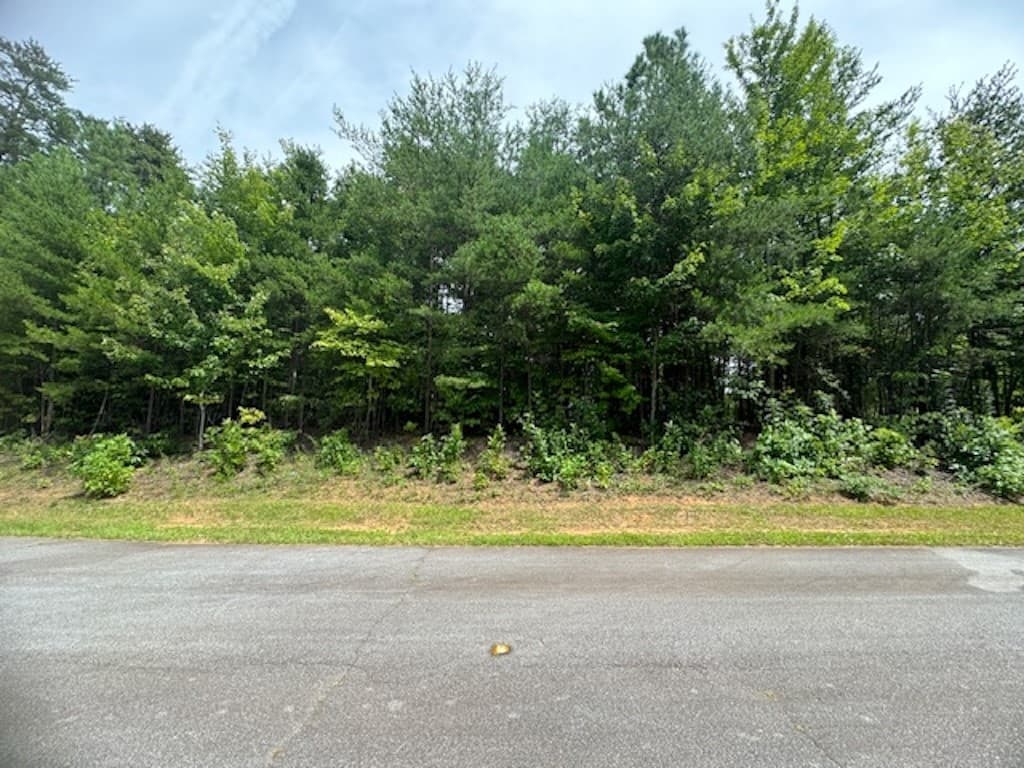 264 Jocassee Ridge Way