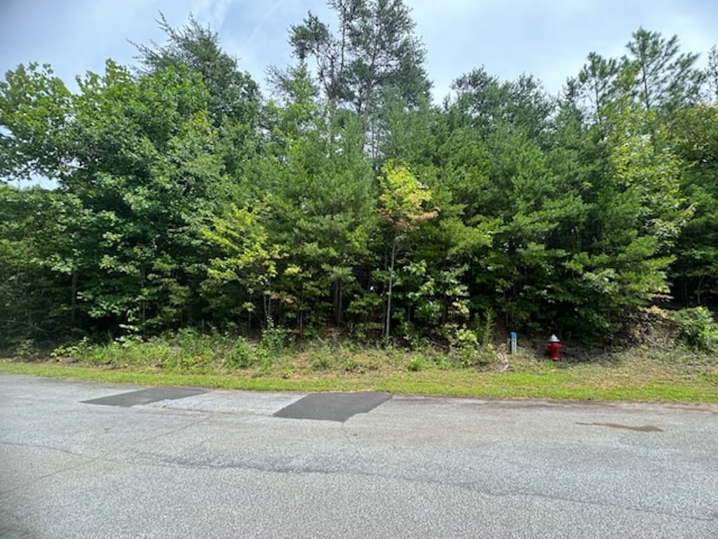 266 Jocassee Ridge Way