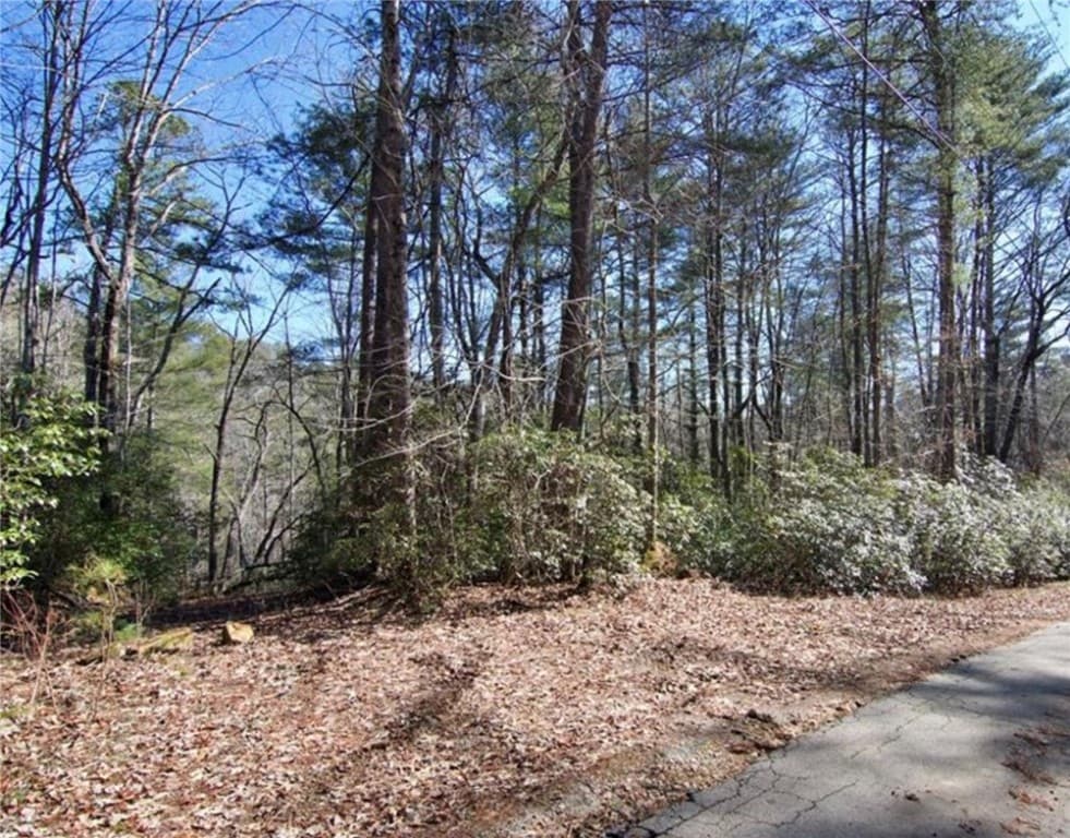 375 Gauley Falls Road